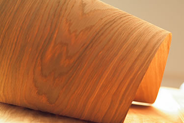veneer
